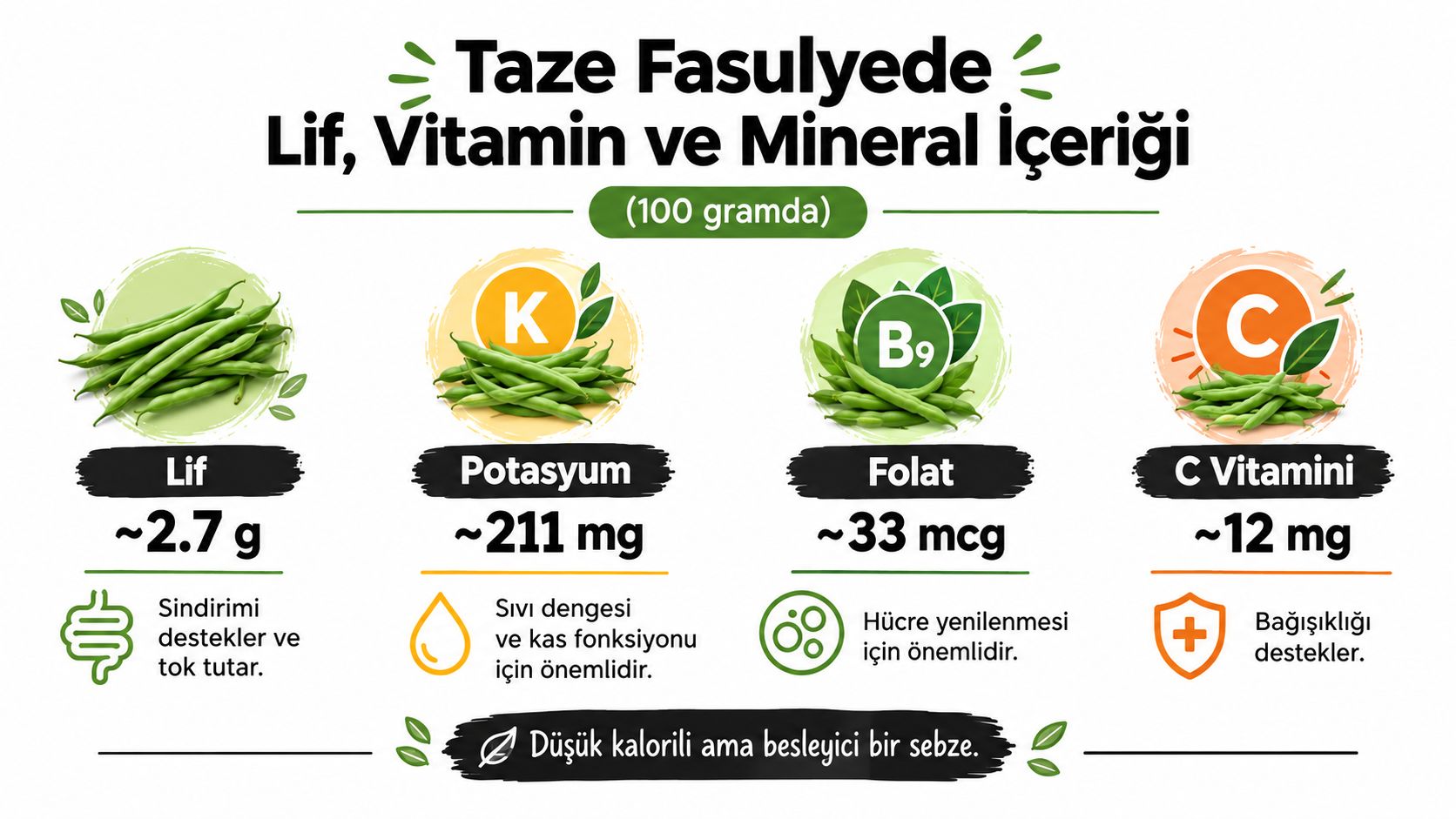 Taze fasulye besin değerlerini, lif, potasyum, folat ve C vitamini içeriklerini gösteren bilgilendirici bir infografik görseli.