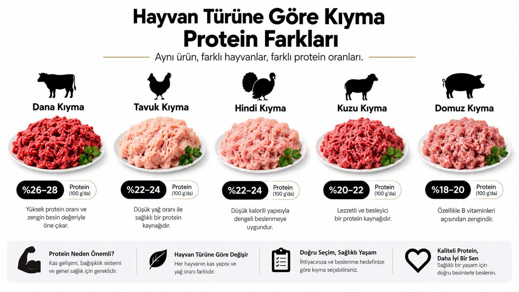 Farklı hayvan türlerinden elde edilen kıymaların 100 gramdaki protein oranlarını gösteren karşılaştırmalı besin değeri bilgilendirme görseli.