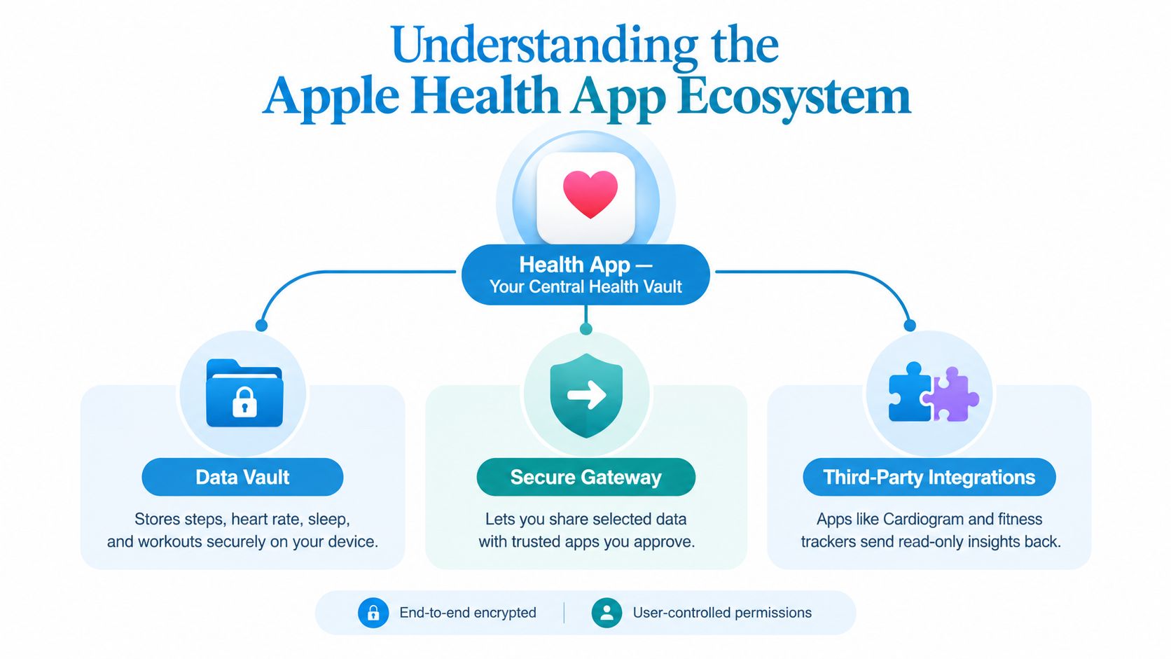 An infographic showing the Apple Health app as a secure vault for user health data and integrations.