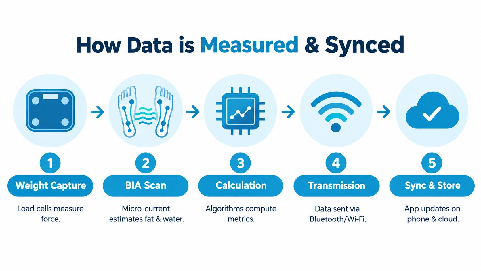 A diagram illustrating the five-step process of how a smart scale measures and syncs body data.