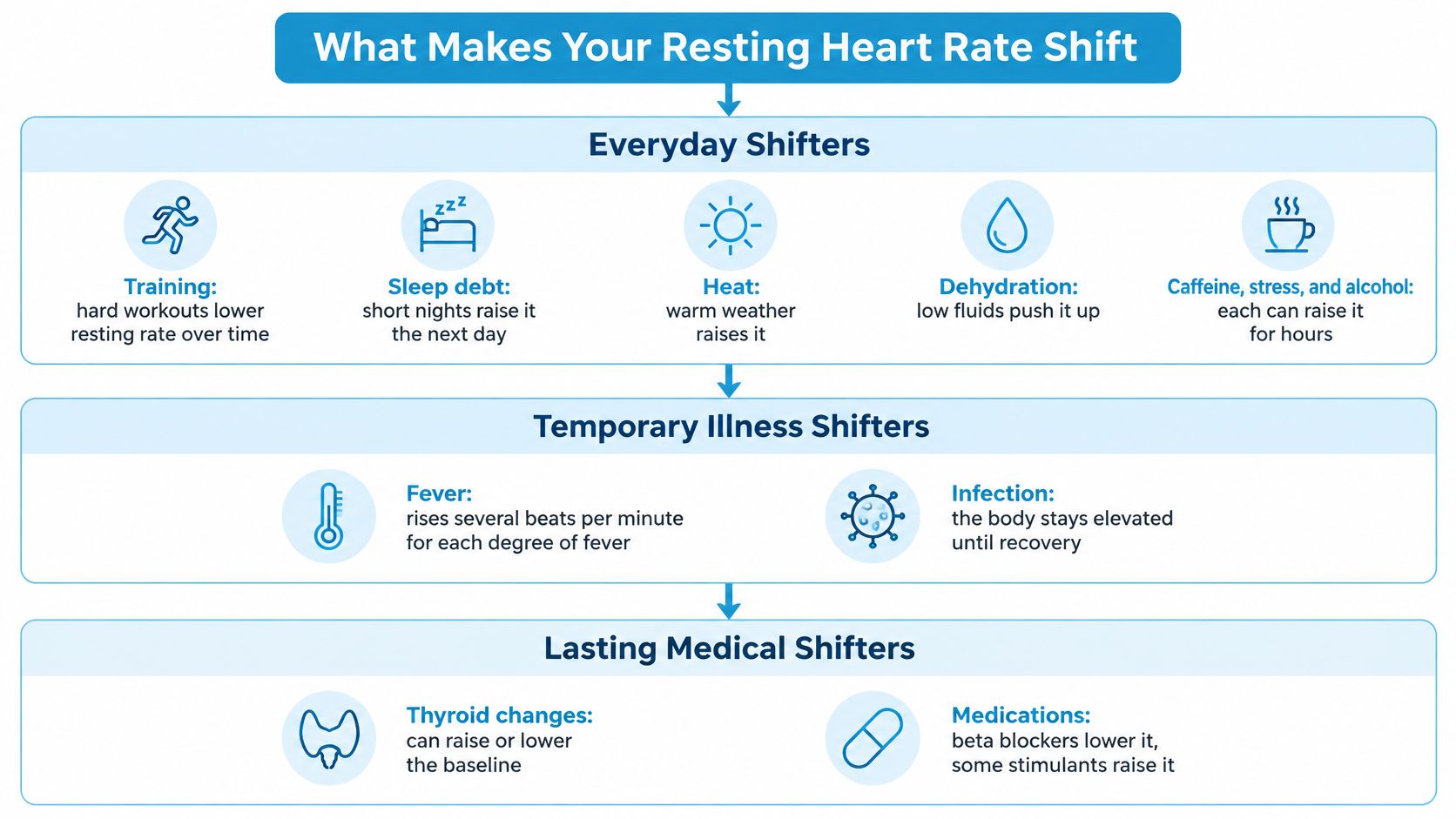 An infographic titled What Makes Your Resting Heart Rate Shift, categorizing factors into everyday, temporary, and medical.