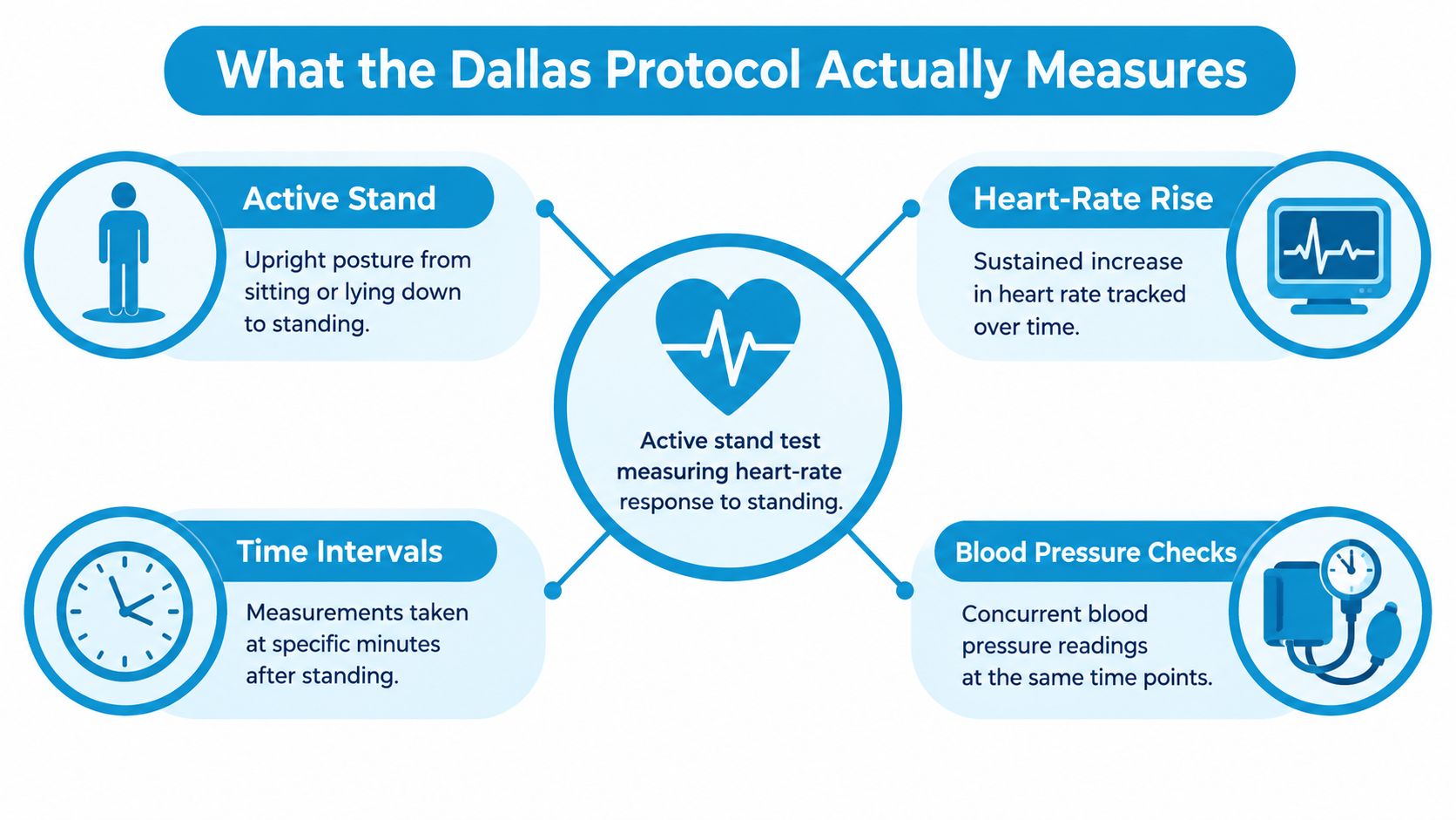 An infographic titled What the Dallas Protocol Actually Measures, explaining the steps of an active stand test.