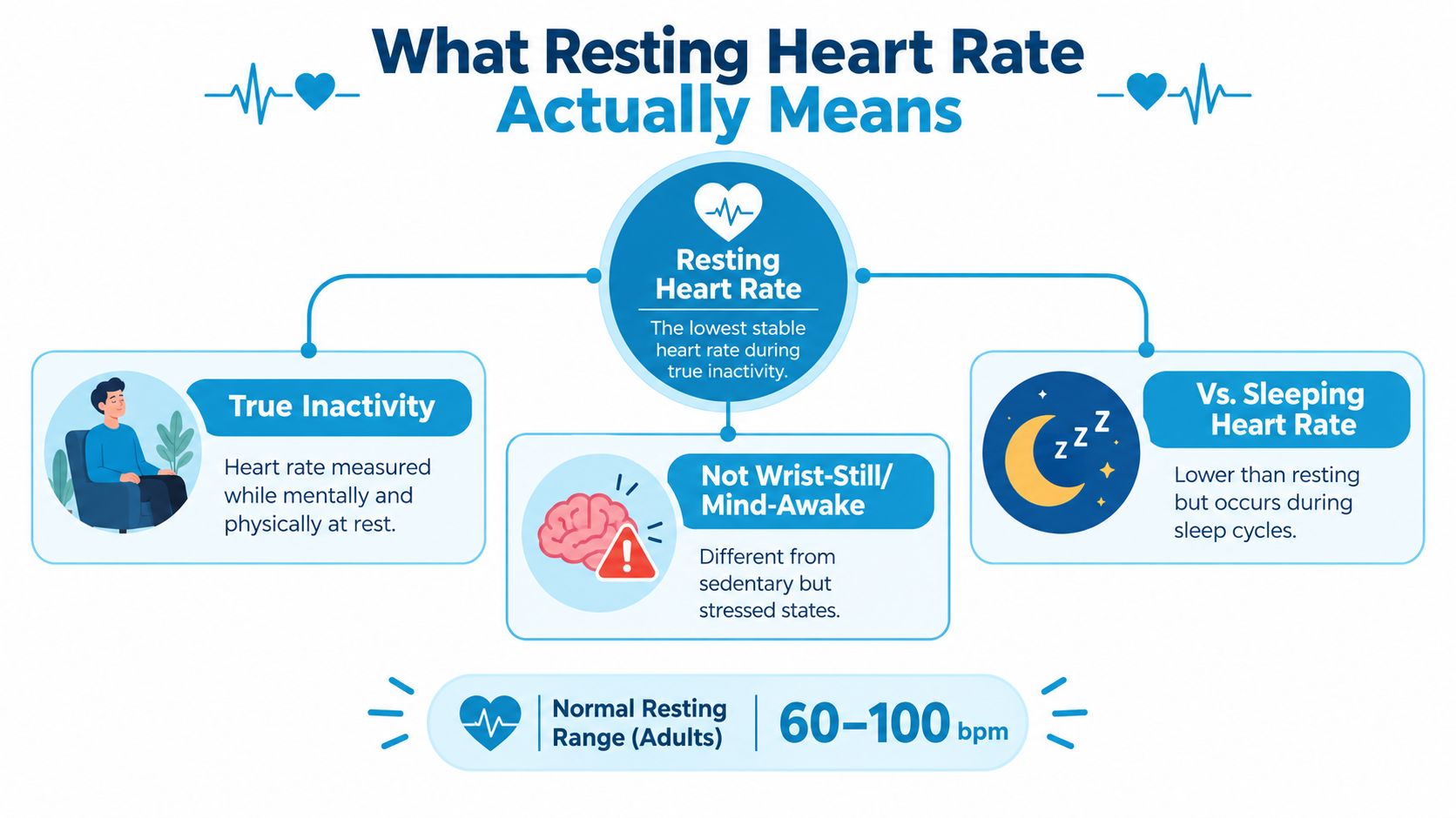 An infographic defining resting heart rate, explaining its distinctions from sleeping or stressed states, and noting normal ranges.