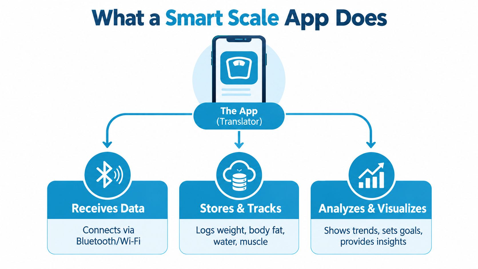 A diagram illustrating how a smart scale app connects to a scale to track body metrics.