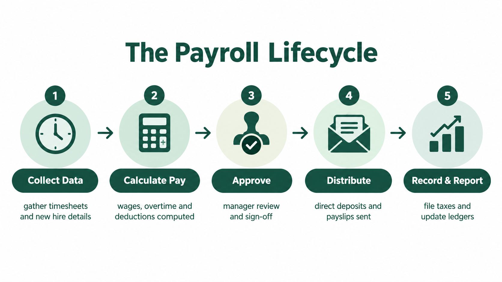 A five-step infographic illustrating the payroll lifecycle process from data collection to final tax reporting.