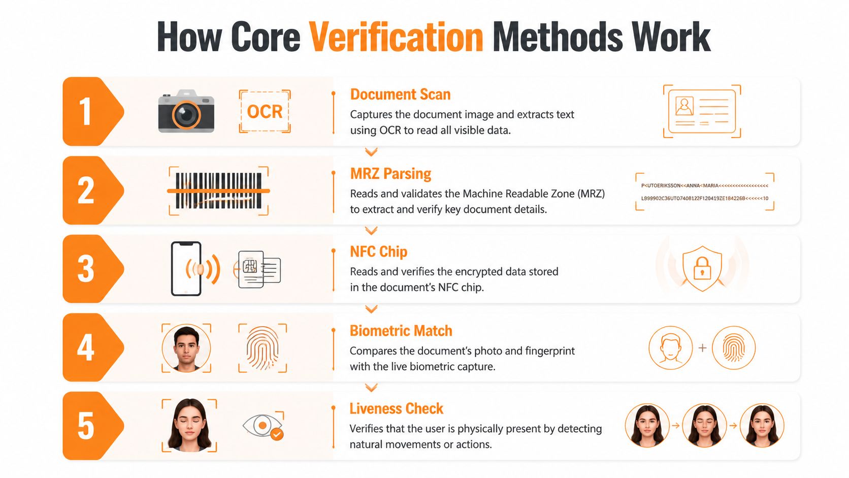 An infographic illustrating five steps of identity document verification including document scanning, MRZ parsing, NFC, biometrics, and liveness check.