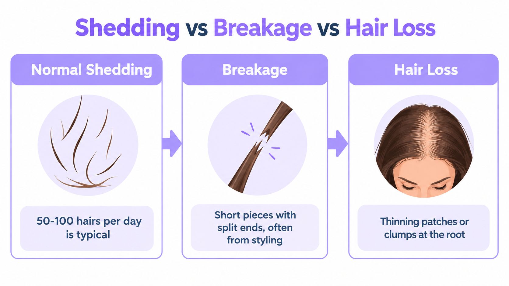 An infographic comparing the differences between normal hair shedding, hair breakage, and clinical hair loss conditions.