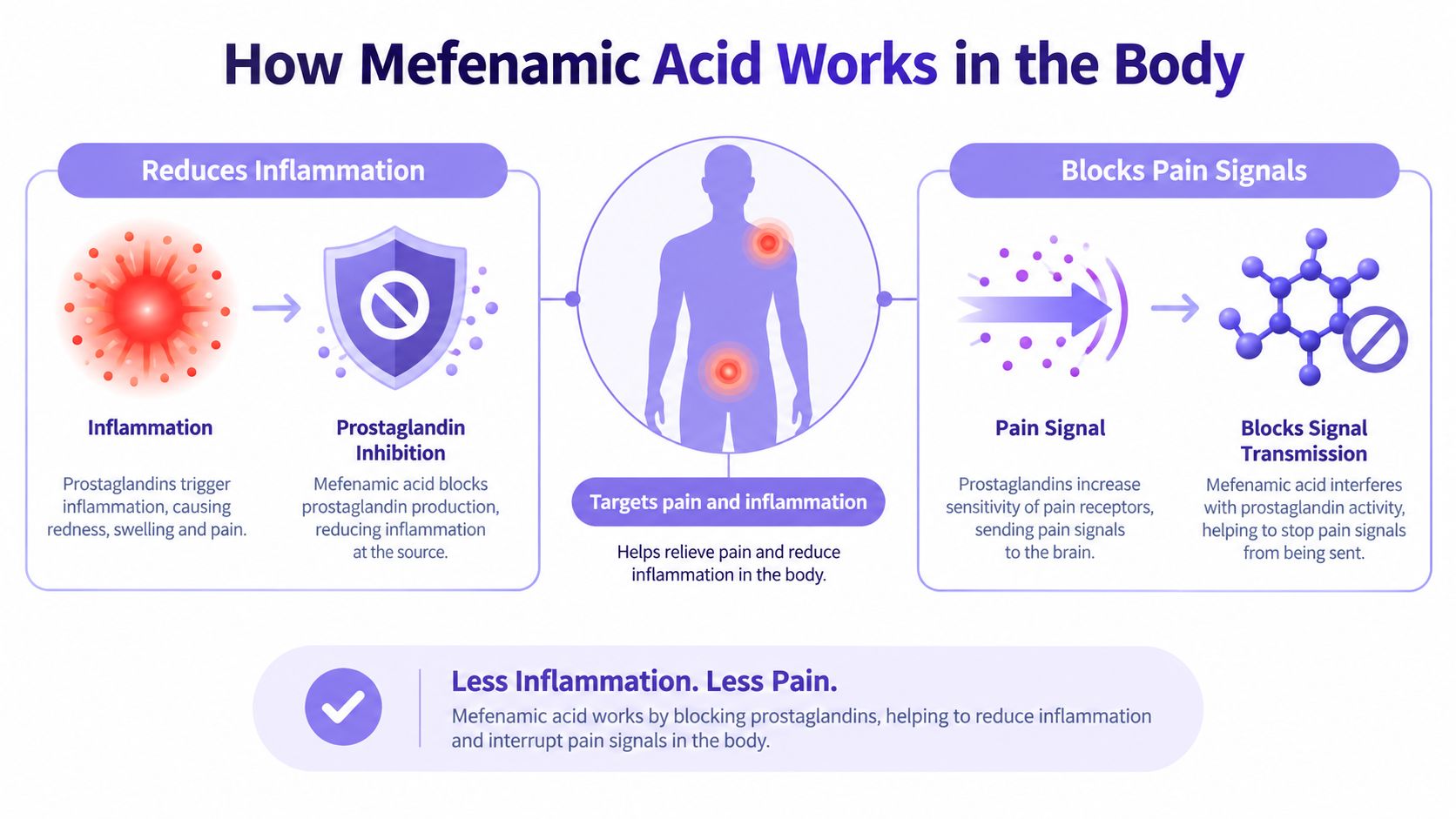 An infographic showing how mefenamic acid reduces inflammation and blocks pain signals in the human body.