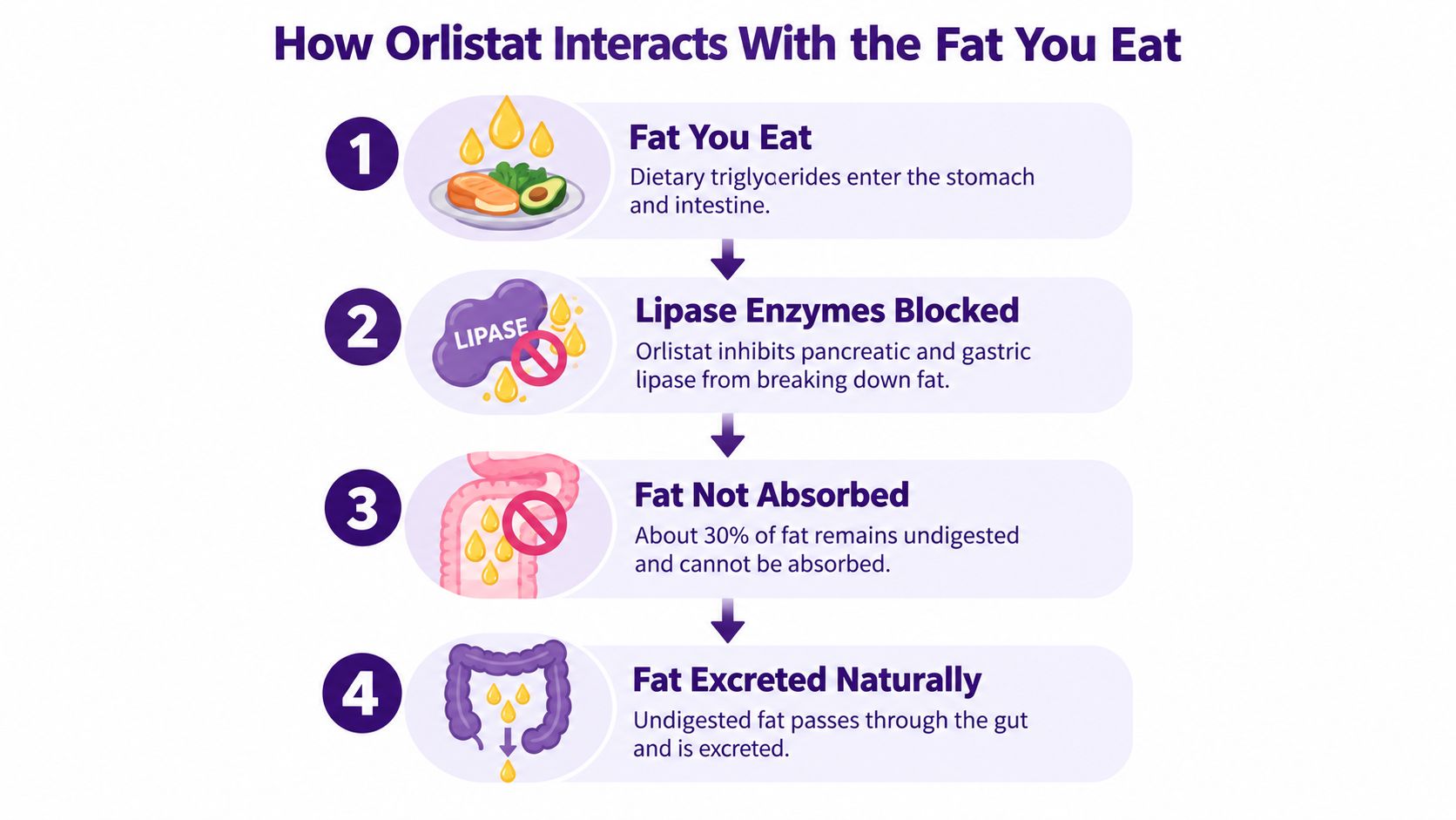 An infographic showing the four steps of how orlistat blocks fat digestion and absorption in the body.