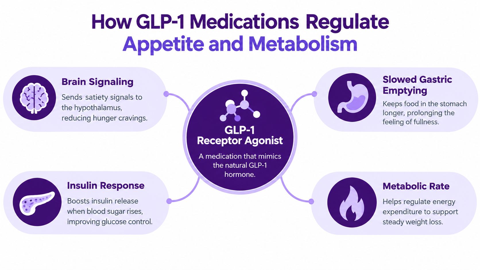 An infographic showing how GLP-1 receptor agonist medications regulate appetite, metabolism, gastric emptying, and insulin response.