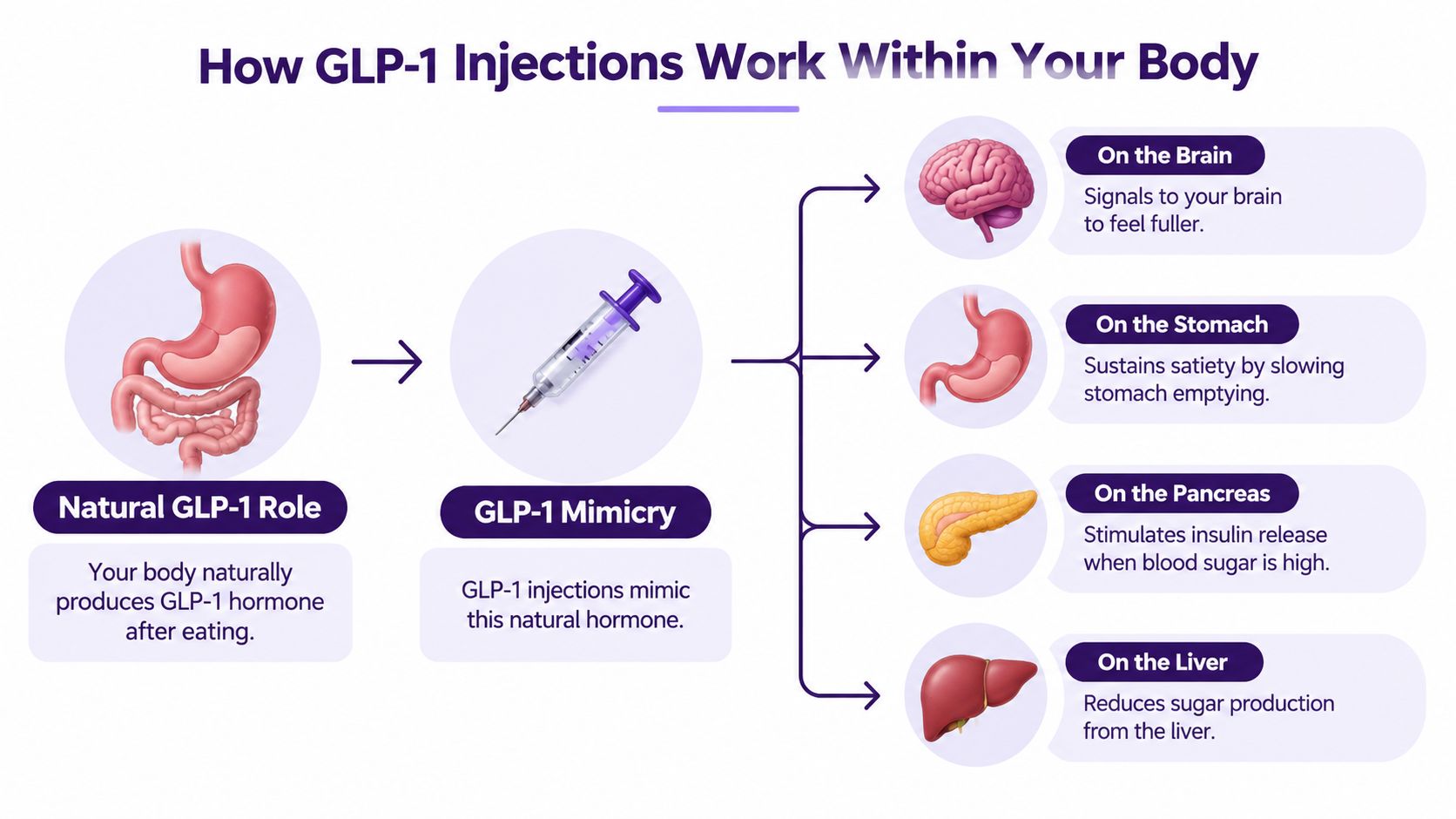 A diagram explaining how GLP-1 injections work by mimicking natural hormones to influence the brain, stomach, pancreas, and liver.