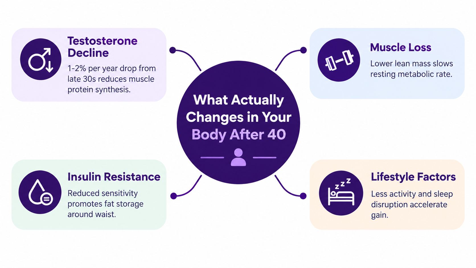 A diagram illustrating biological changes in men after 40 including testosterone decline, muscle loss, insulin resistance, and lifestyle.