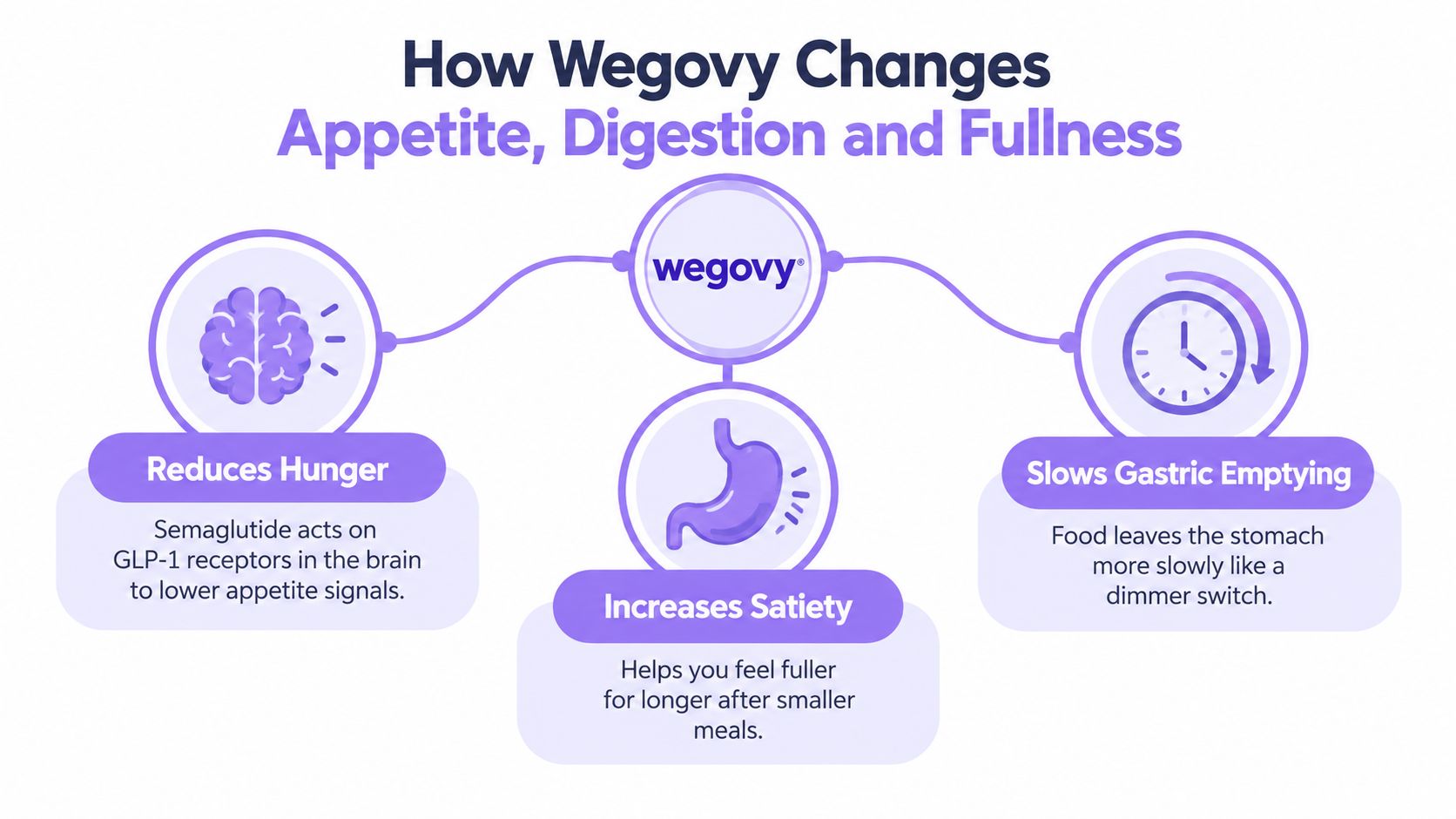An infographic explaining how Wegovy works by reducing hunger, increasing satiety, and slowing gastric emptying.