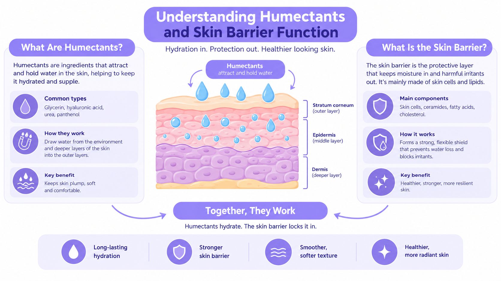 A diagram explaining how humectants hydrate the skin and how the skin barrier retains that moisture.