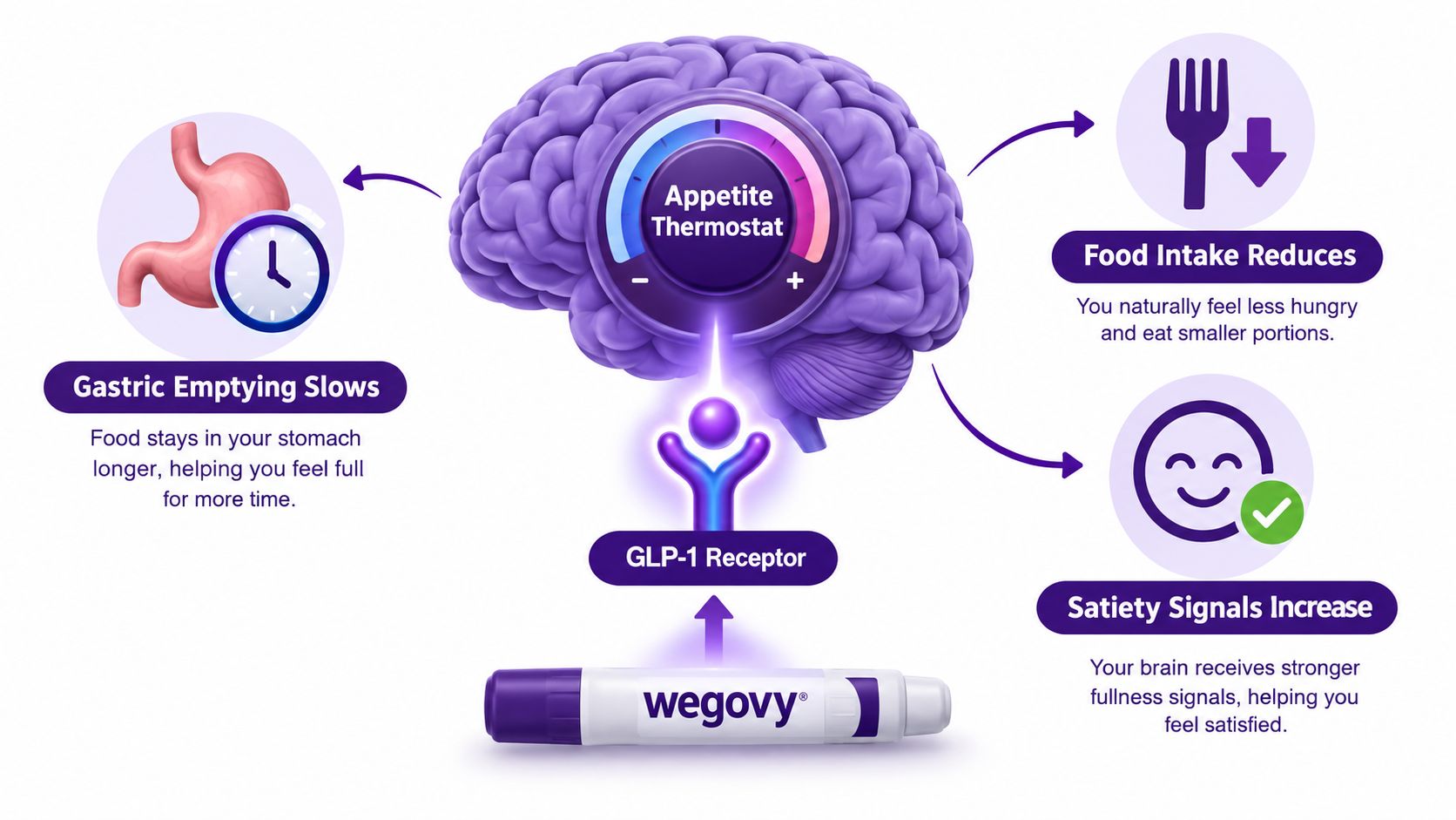 An infographic showing how Wegovy works on the brain to manage appetite, reduce food intake, and increase satiety.
