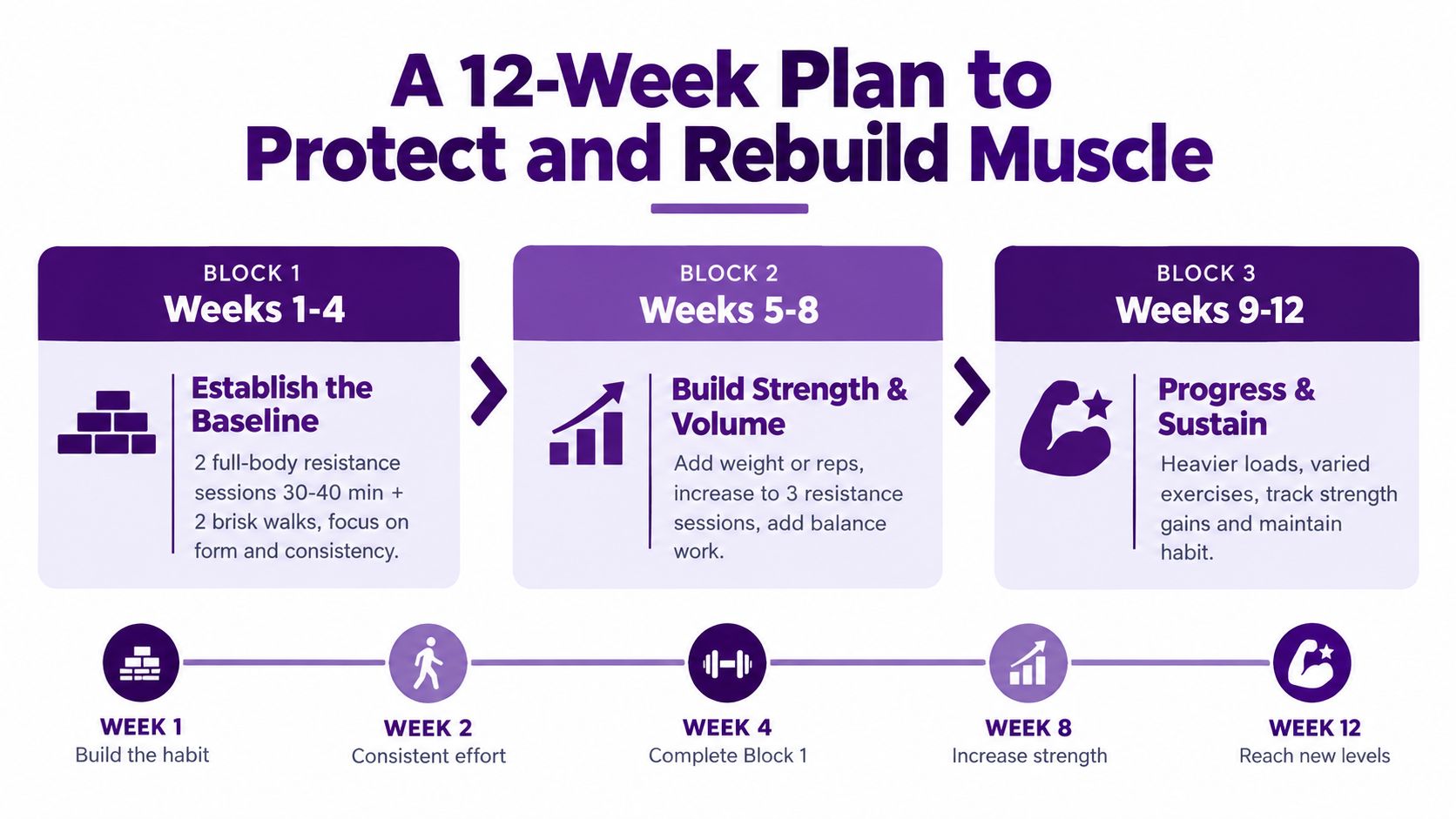 A 12-week muscle building and protection plan chart featuring three progression blocks with workout guidelines.