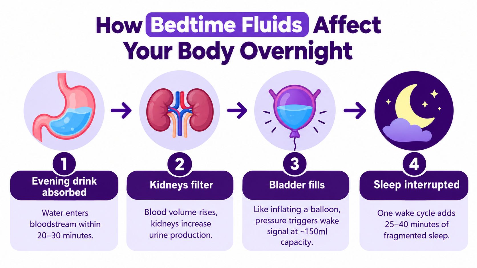 A four-step infographic illustrating how drinking fluids before bed leads to interrupted sleep due to bladder filling.