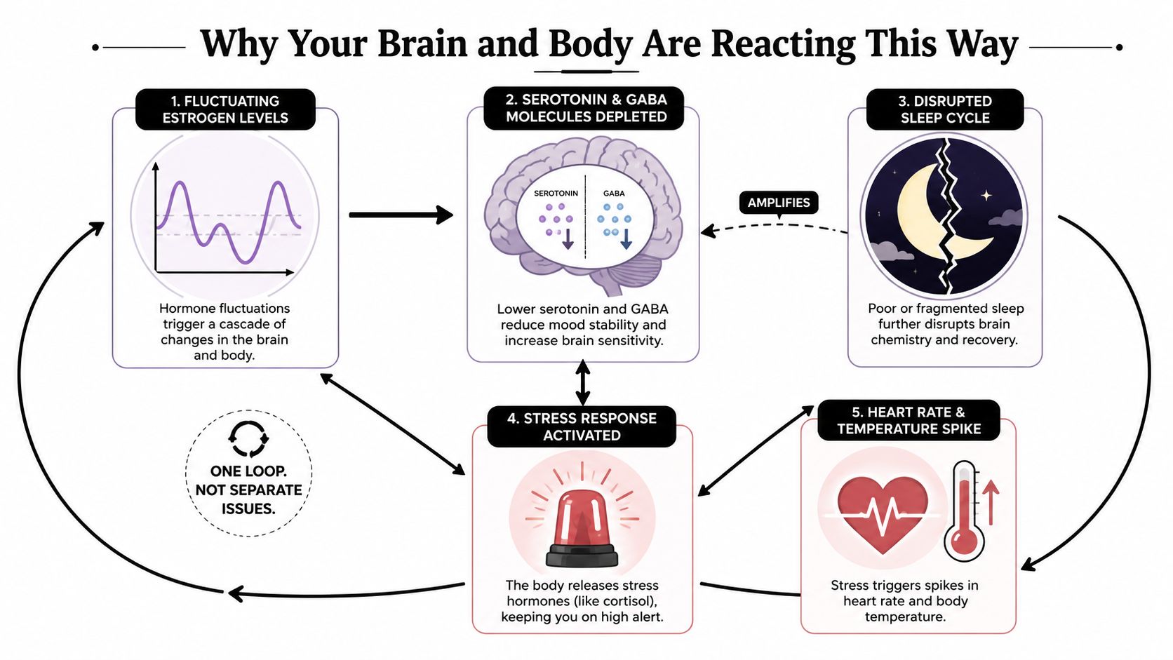 A cyclical flow chart illustrating the physiological causes of perimenopause symptoms like anxiety and hormone fluctuations.