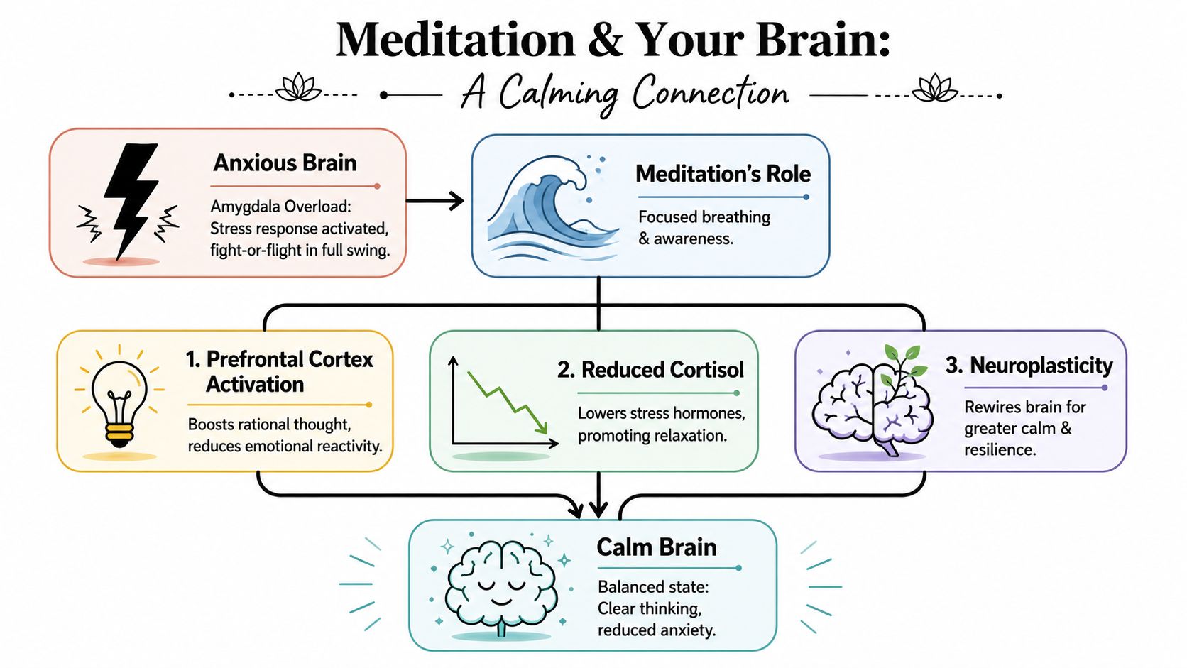 A flowchart explaining how meditation reduces anxiety by balancing brain activity and lowering stress hormones.