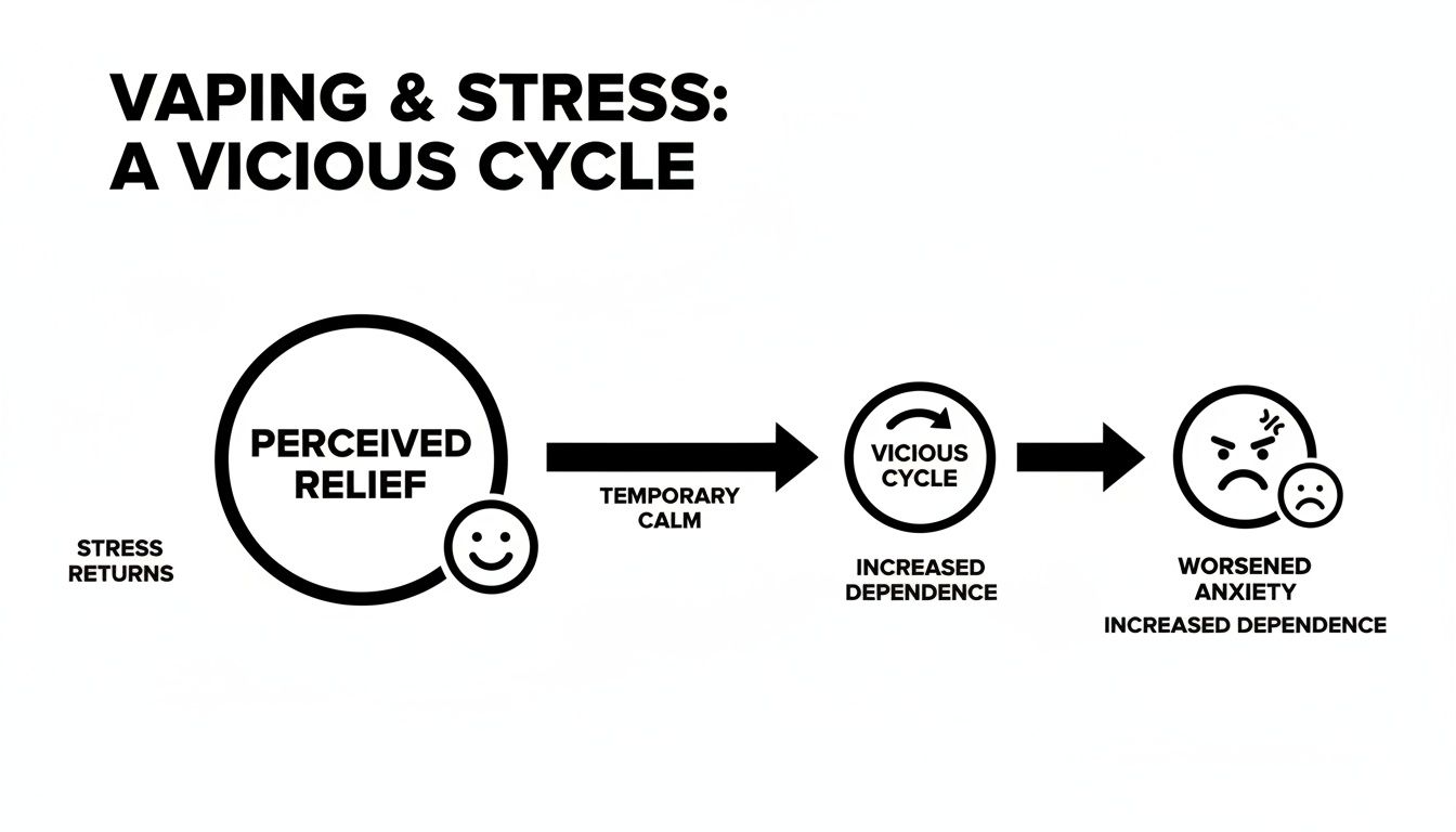 Diagram showing vaping's vicious cycle: perceived relief, temporary calm, increased dependence, worsened anxiety.