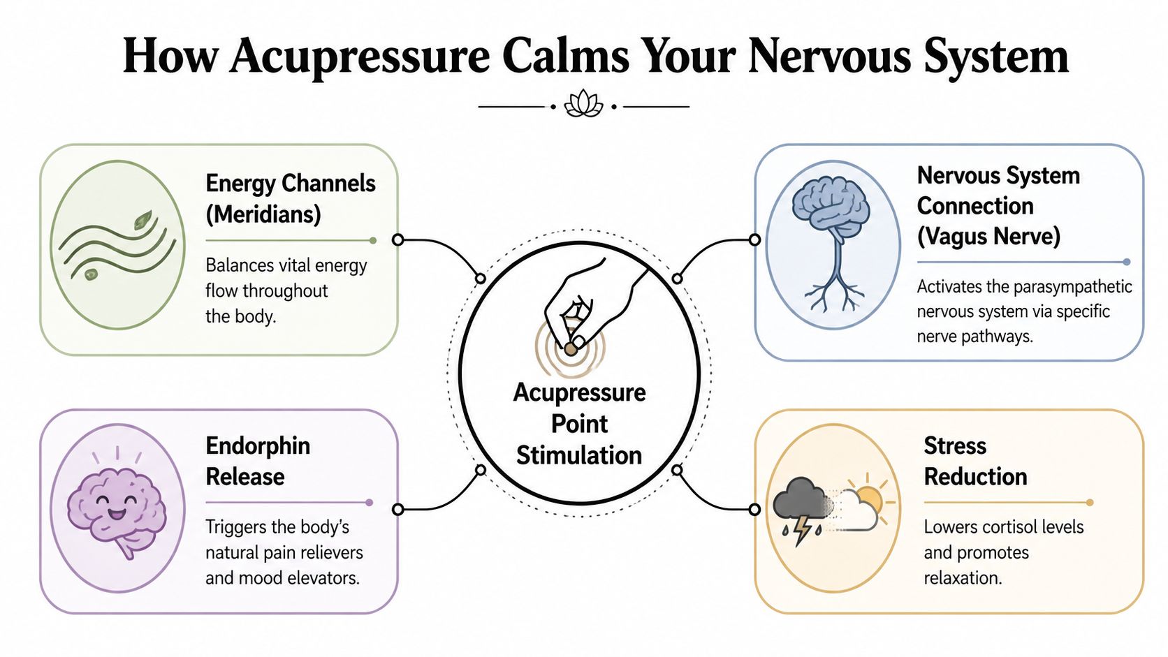 A diagram explaining how acupressure calms the nervous system through meridian energy, vagus nerve stimulation, and endorphins.