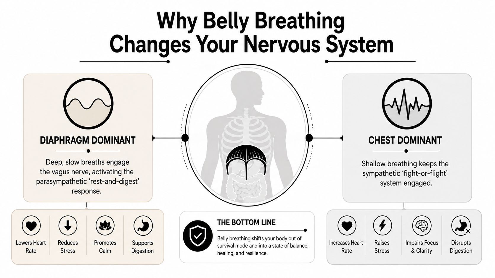 An infographic showing how belly breathing via the diaphragm activates the parasympathetic nervous system compared to chest breathing.