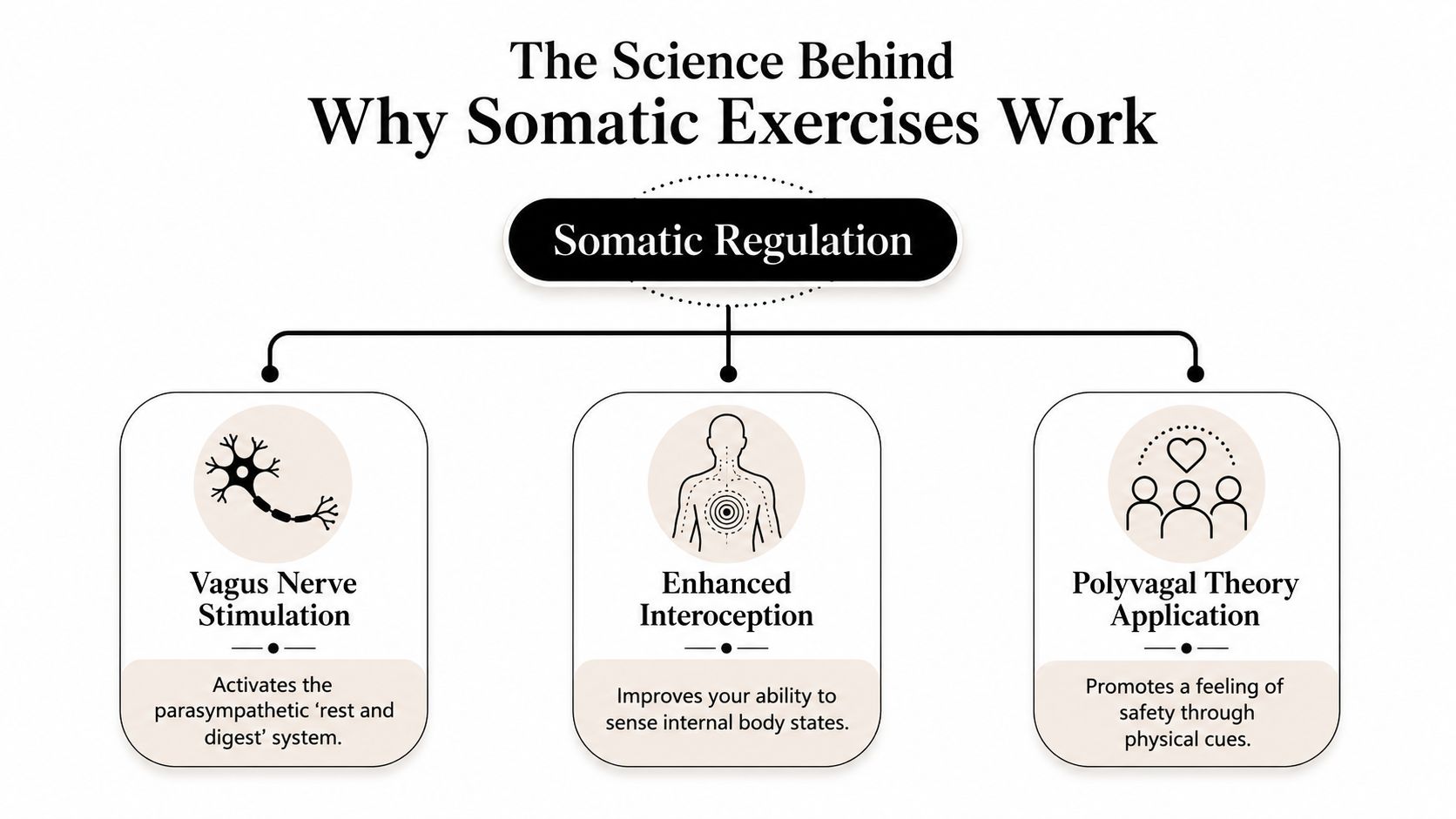 A diagram titled The Science Behind Why Somatic Exercises Work, explaining somatic regulation, vagus nerve stimulation, interoception, and polyvagal theory.