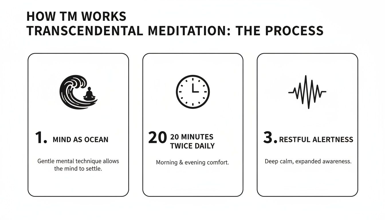 Infographic explaining the three-step process and benefits of Transcendental Meditation (TM).