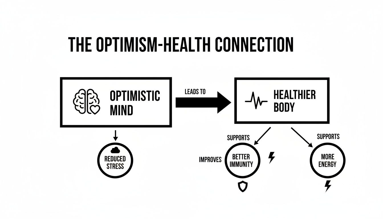 Flowchart illustrating how an optimistic mind leads to a healthier body, reduced stress, better immunity, and more energy.