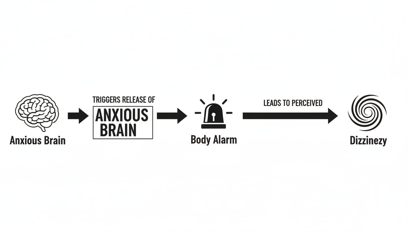 Flowchart illustrating the progression from an anxious brain triggering a body alarm to perceived dizziness.