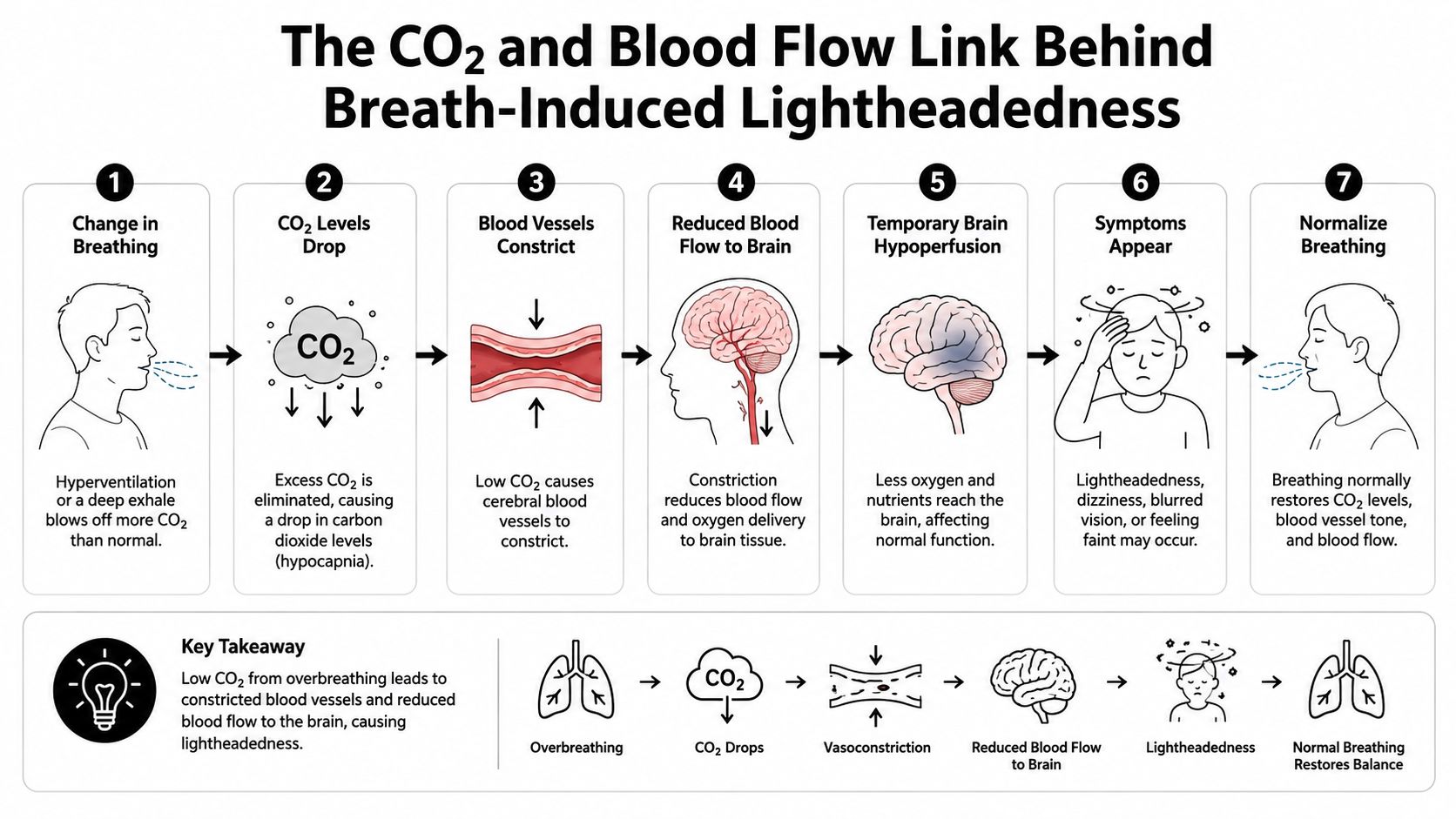 A diagram illustrating the biological process of how overbreathing causes carbon dioxide levels to drop and dizziness.