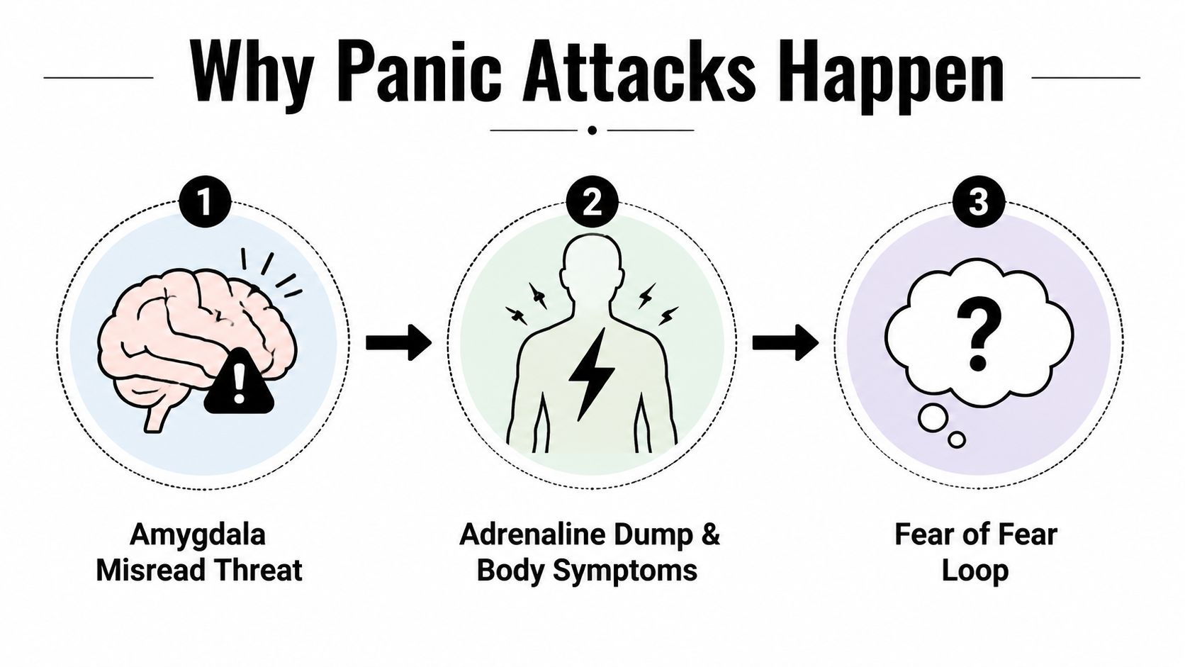 A simple infographic explaining the three-step process of why panic attacks happen, from amygdala to loop.