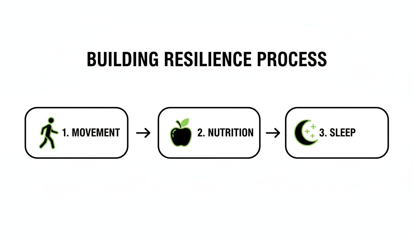 A flowchart illustrating the 'Building Resilience Process' through three key steps: Movement, Nutrition, and Sleep.