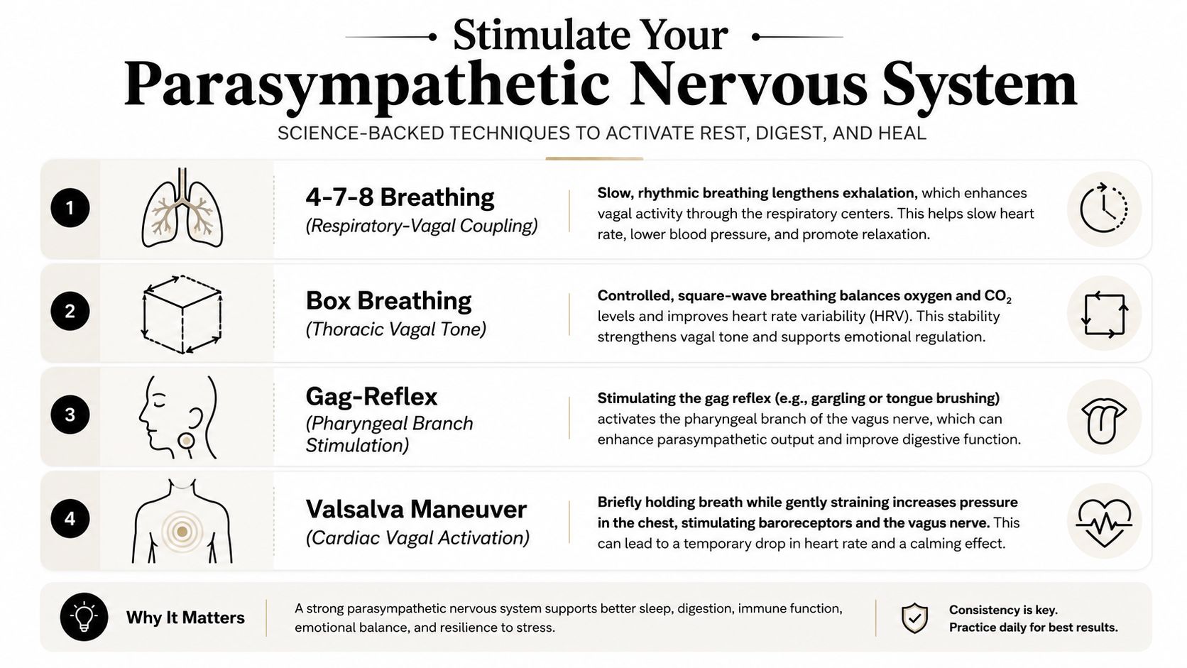 An infographic detailing four science-backed techniques to stimulate the parasympathetic nervous system for relaxation and health.
