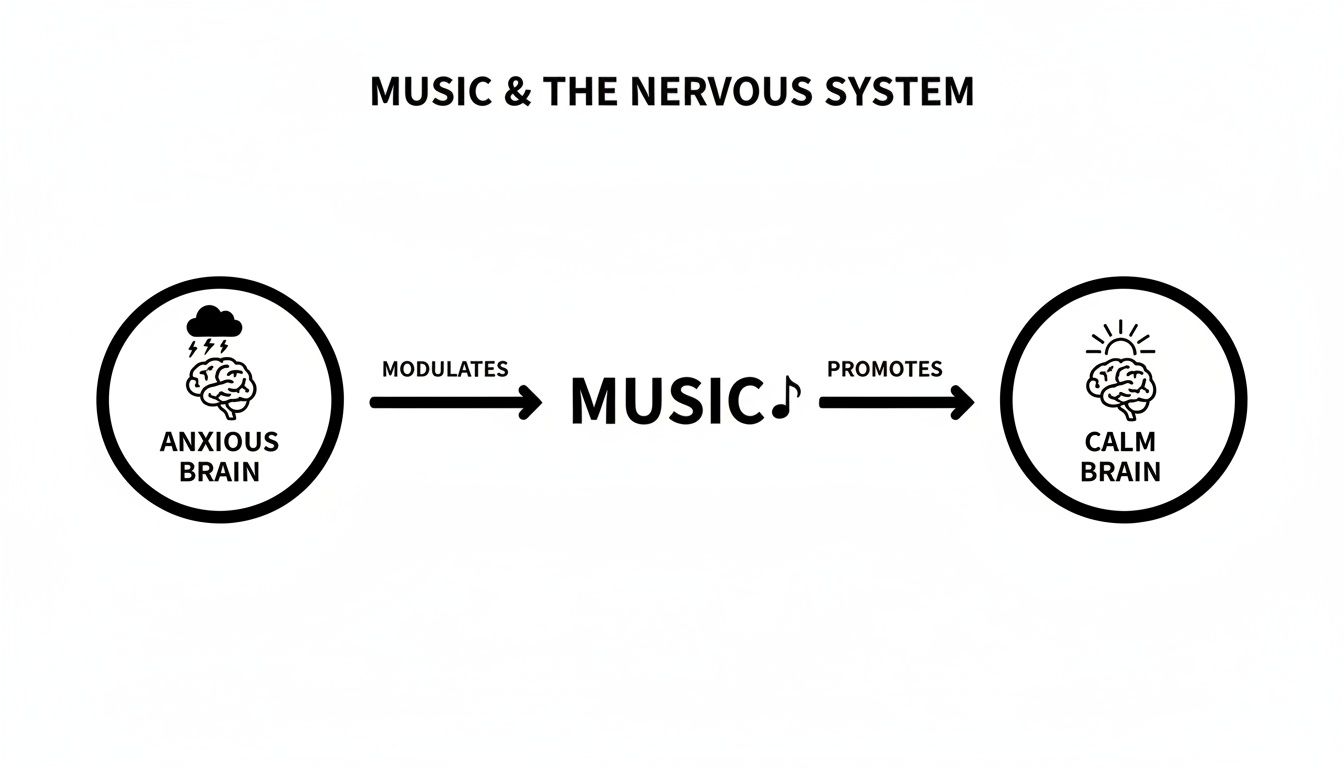 Infographic illustrating music's role in modulating the nervous system from anxiety to calmness.