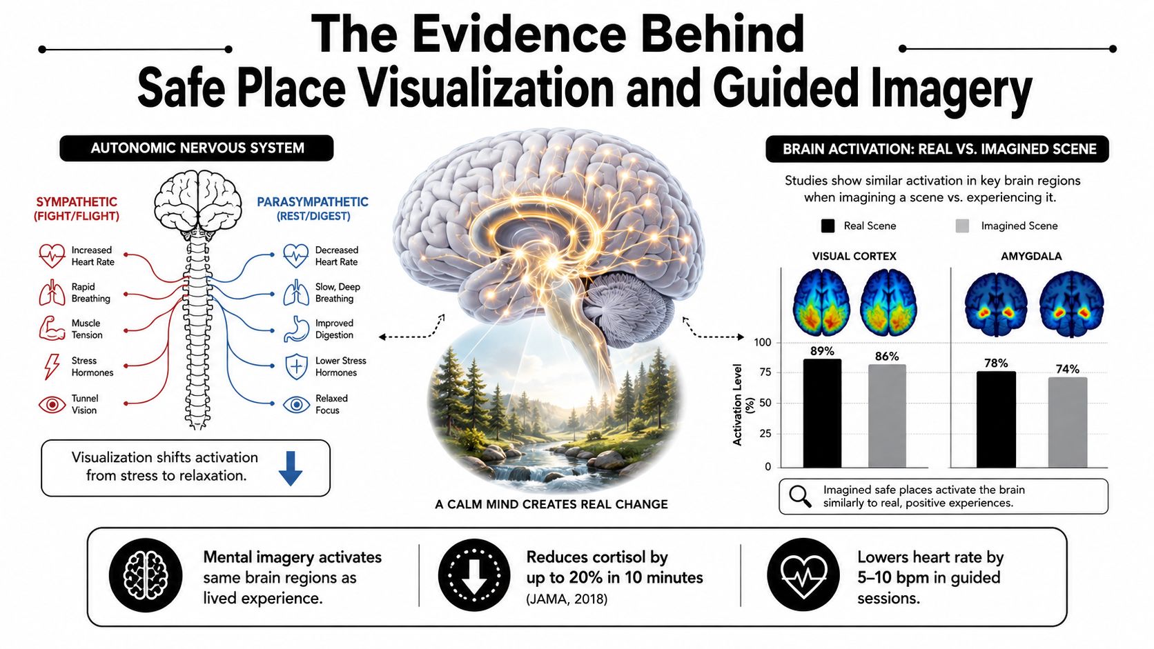 An infographic showing how safe place visualization impacts the autonomic nervous system and brain activation levels.