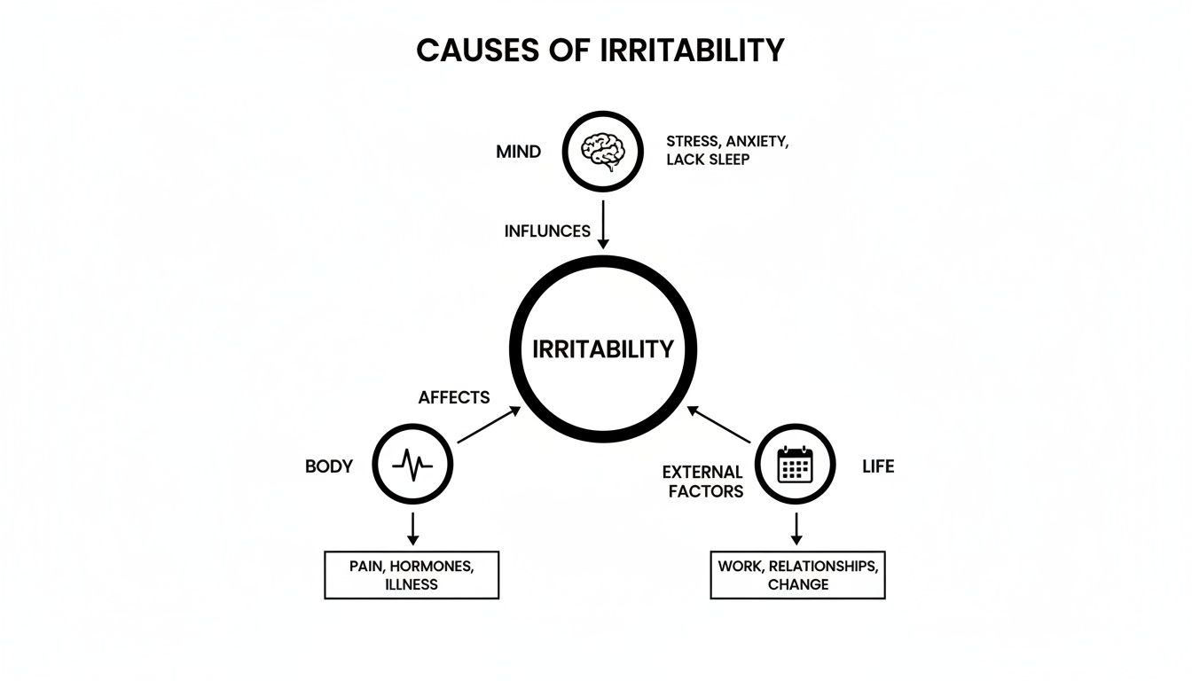 Diagram illustrating the causes of irritability influenced by mind, body, and external life factors.