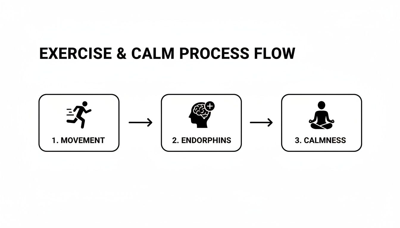 Flowchart illustrating the process from movement to endorphins to achieve calmness.