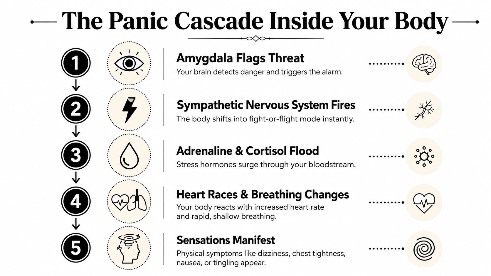 A five-step infographic titled The Panic Cascade showing the physical process of a panic attack.