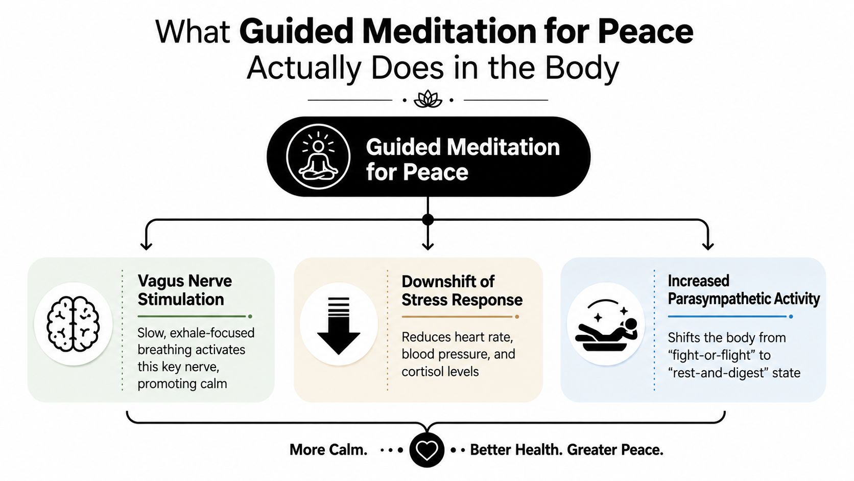A diagram illustrating the physiological benefits of guided meditation for peace, including nerve stimulation and stress reduction.