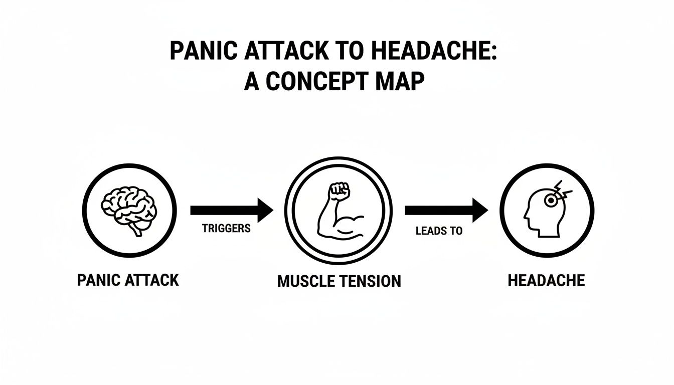 A black and white concept map illustrating the connection from panic attacks to headaches via muscle tension.
