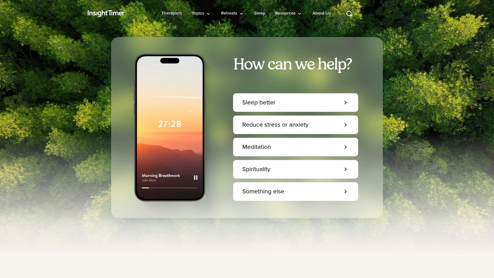Insight Timer