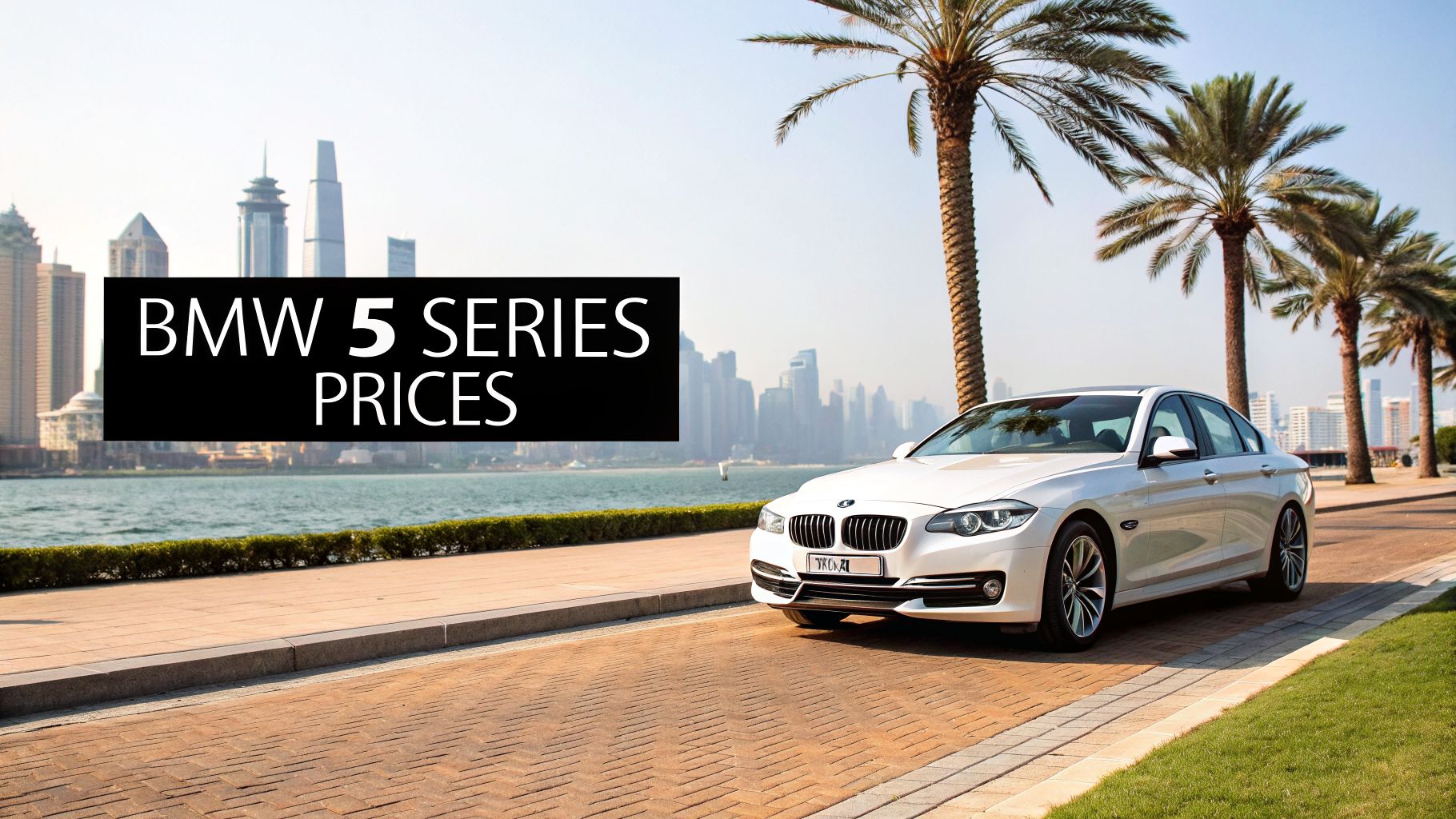 White BMW 5 Series sedan parked on a waterfront road with a city skyline and palm trees.