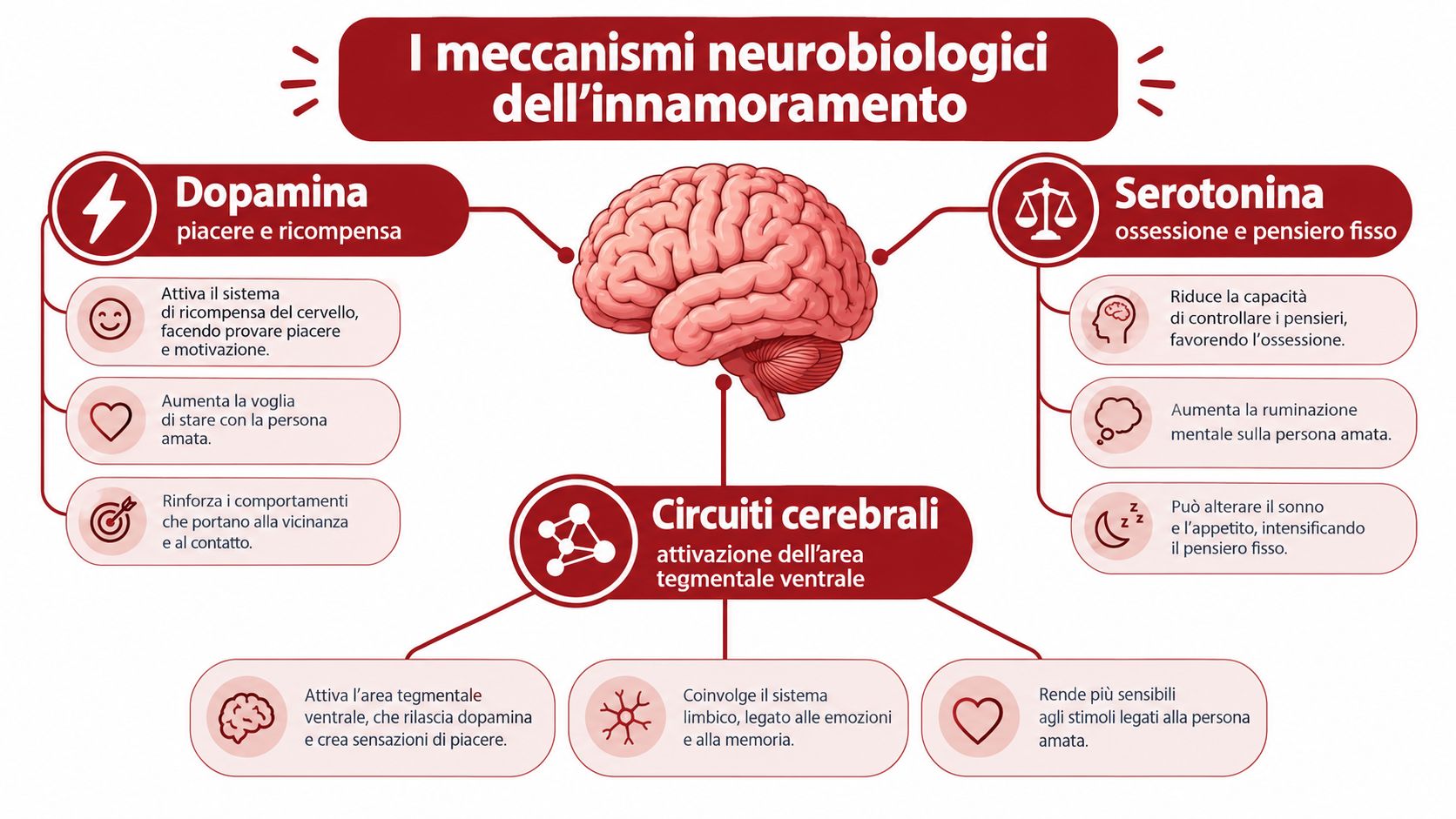 Infografica che illustra i meccanismi neurobiologici dell'innamoramento, inclusi il ruolo della dopamina, della serotonina e dei circuiti cerebrali.