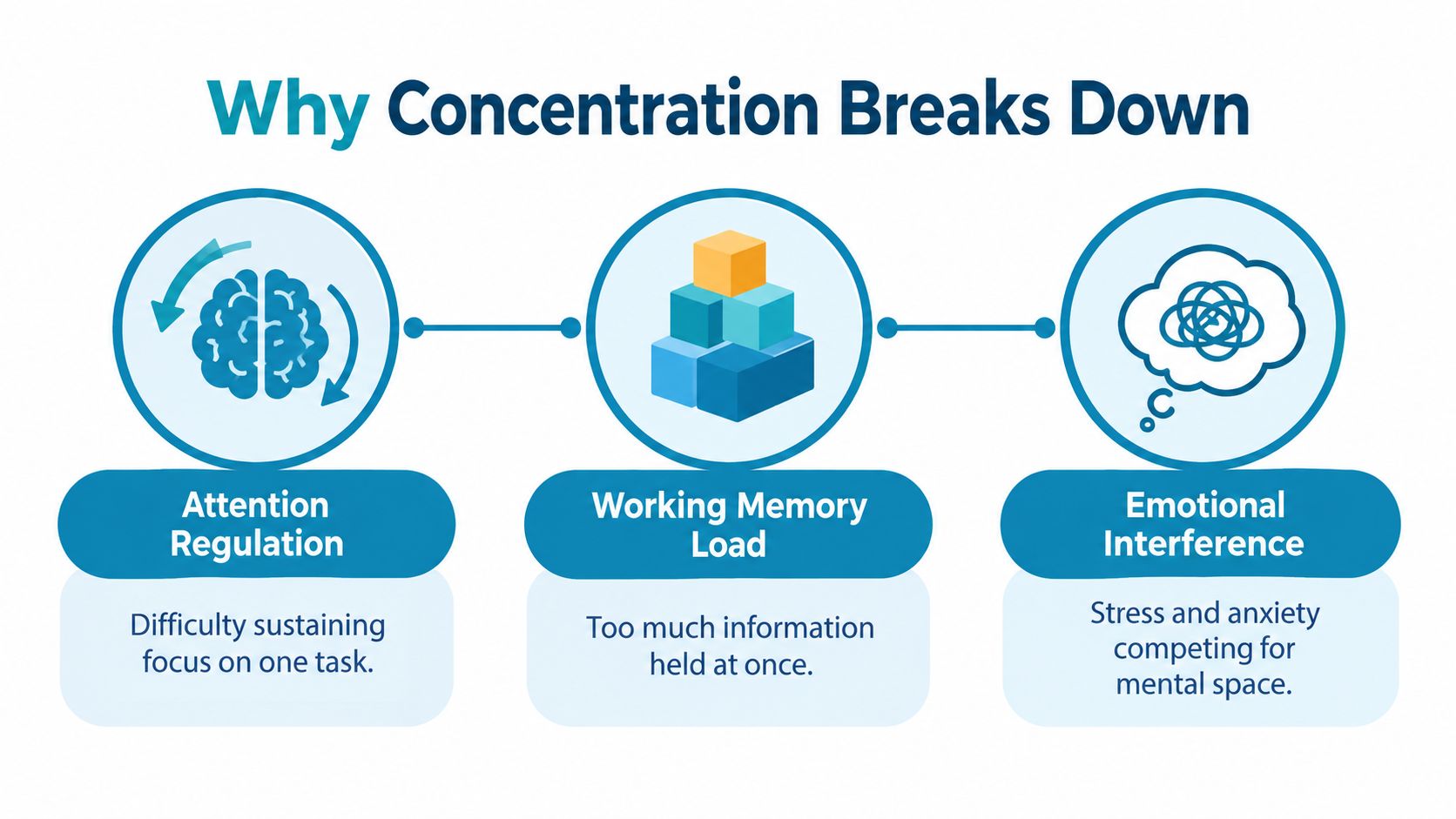 An infographic illustrating why concentration breaks down, highlighting attention regulation, working memory load, and emotional interference.