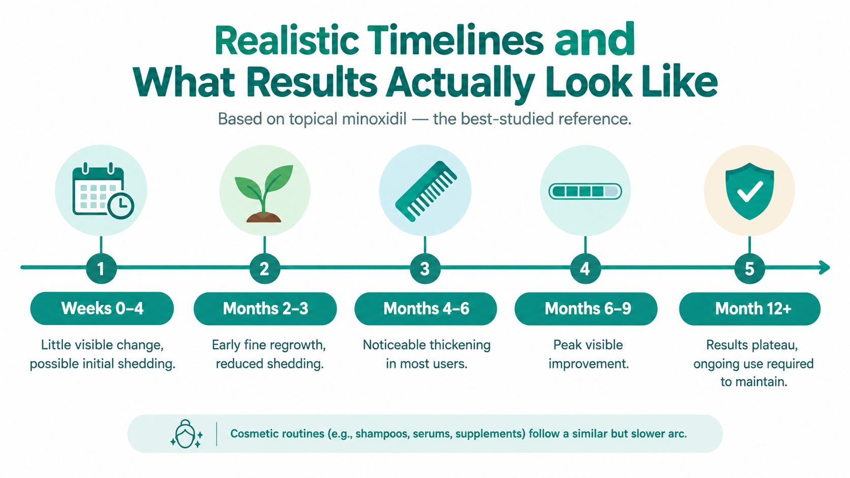 A timeline graphic showing the typical progression of hair growth results over 12 months using topical minoxidil treatment.