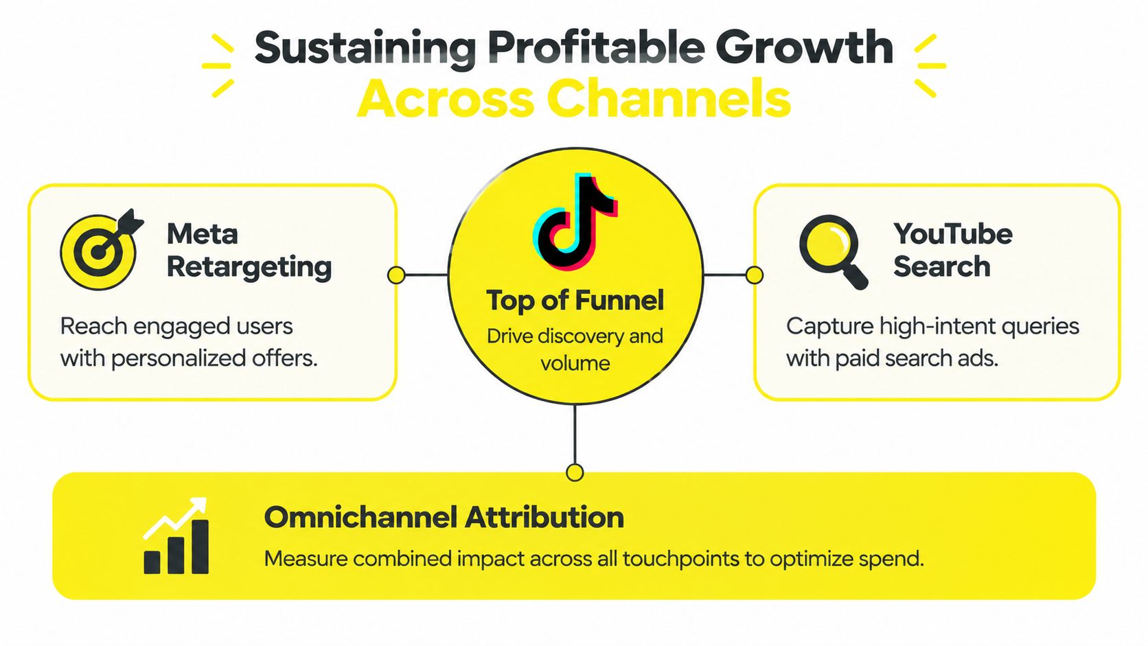 A diagram illustrating a strategy for sustaining profitable growth using TikTok, Meta retargeting, YouTube search, and omnichannel attribution.