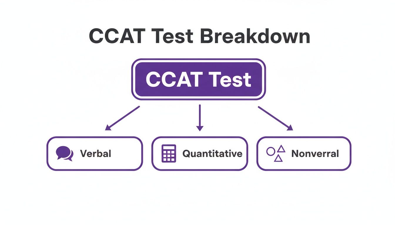 Your Guide to CCAT Grade 3 Practice Test Free Sample Questions | CogAT Blog