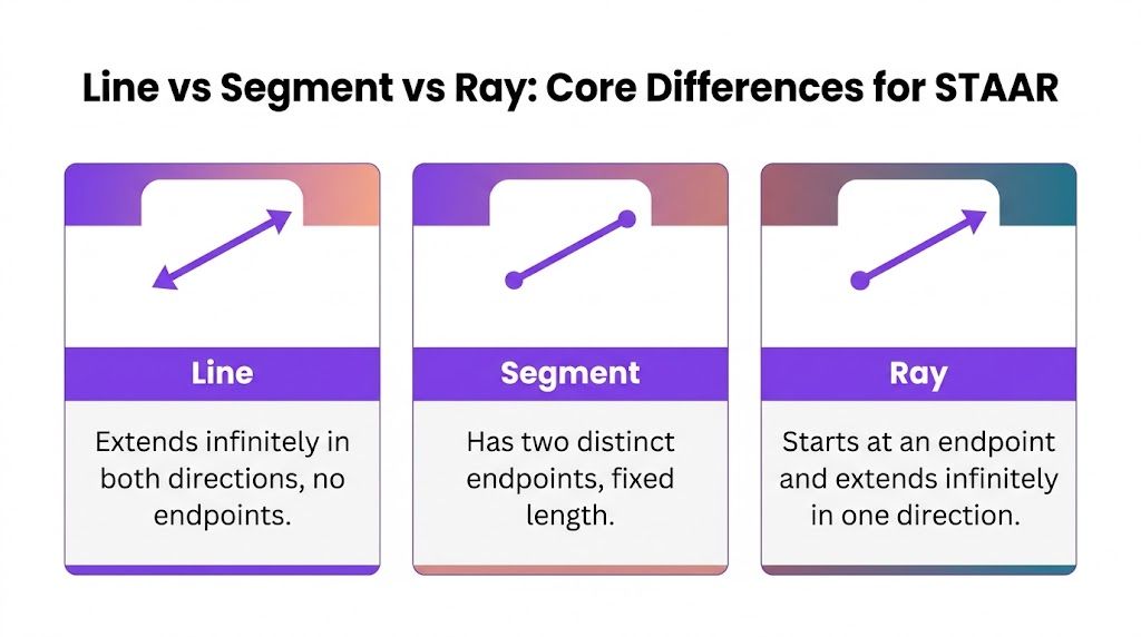 Line vs Segment vs Ray A STAAR Grade 4 Geometry Guide | CogAT Blog