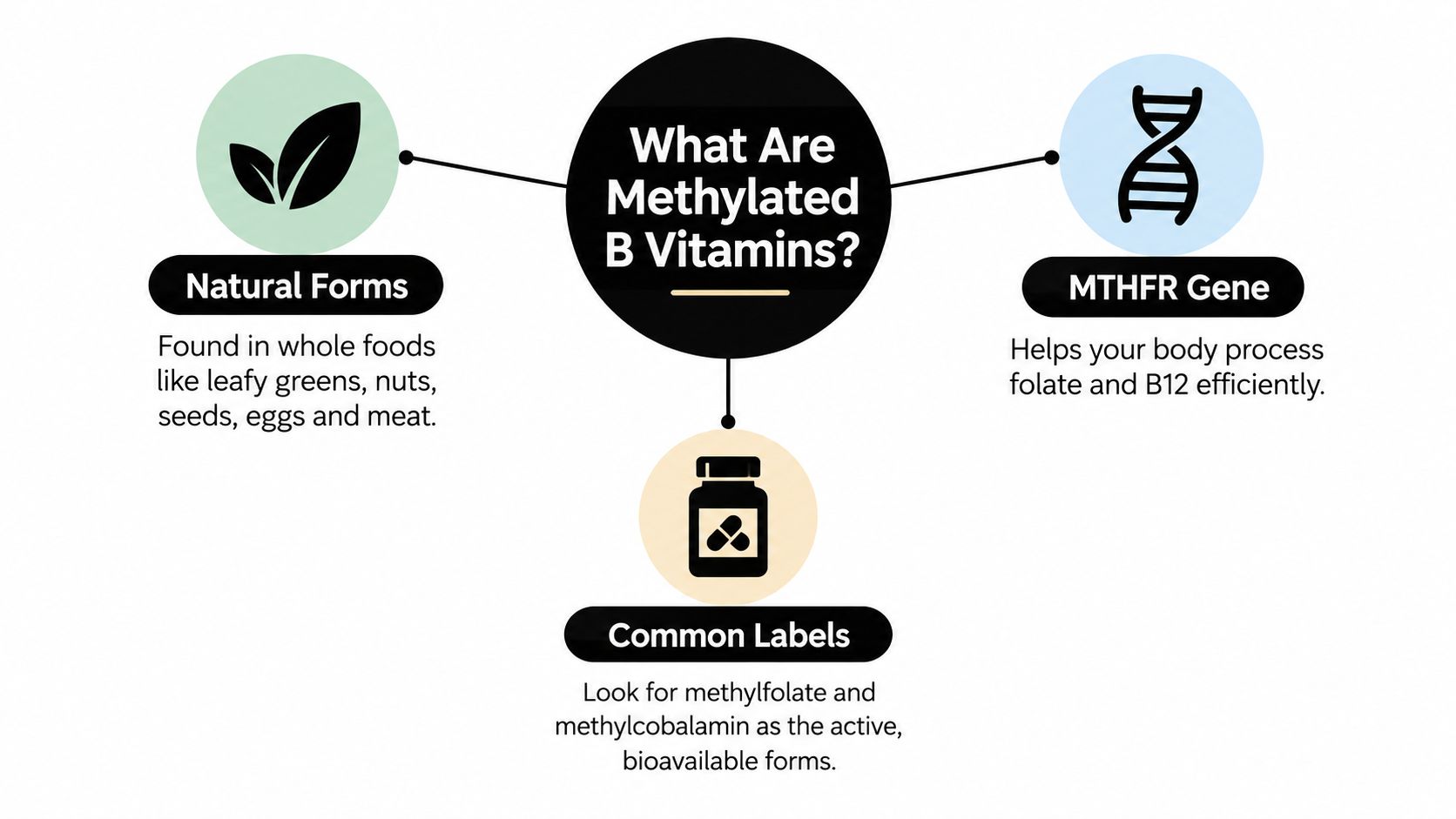An infographic explaining methylated B vitamins, showing natural sources, the MTHFR gene, and common supplement label names.